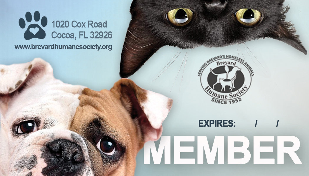 Brevard Humane Society Membership 00034