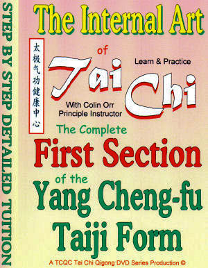 First Section of the Yang Cheng-fu DVD Detail: First Section of the Yang Cheng-fu DVD Detail: