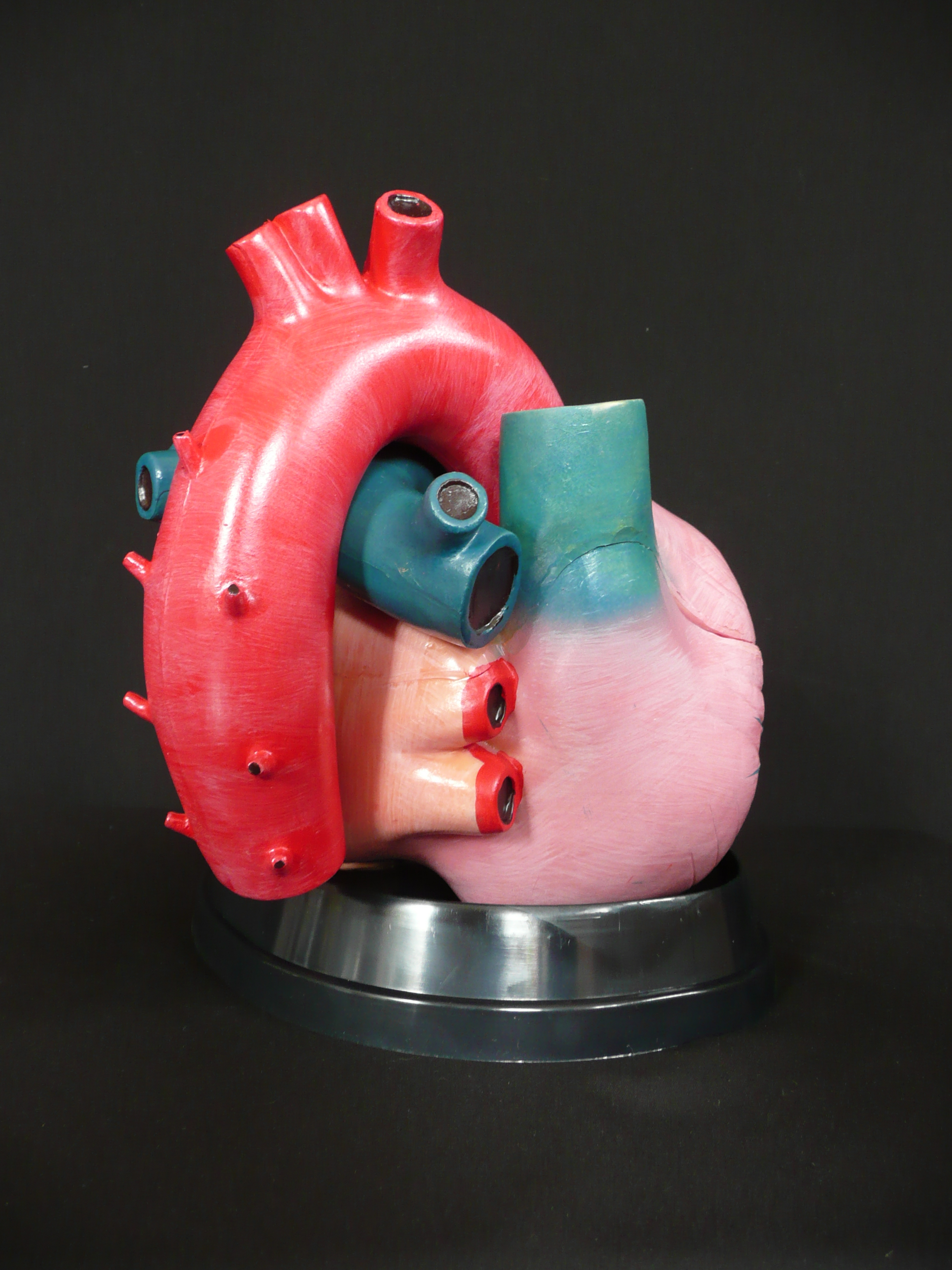 heart model 3dweather