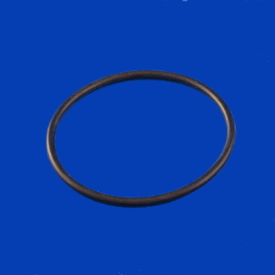 65-1475, Pump, AquaFlo, Union O-Ring, 2" B-65-1475