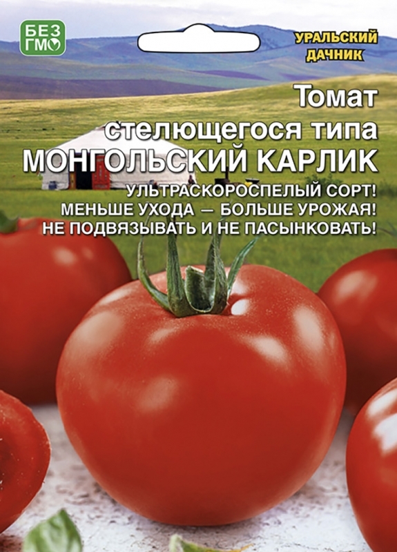 Томат Монгольский карлик 02906