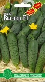 Огурец Вагнер F1 00555