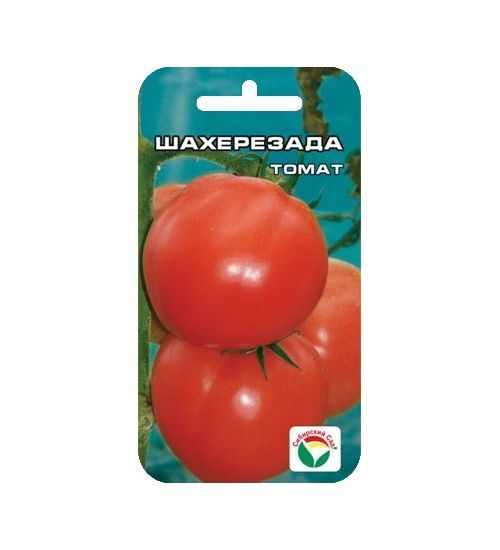 Томат Шахерезада 00894