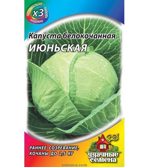 Капуста белокочанная Июньская 00294