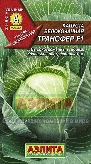 Капуста белокочанная Трансфер F1 00226