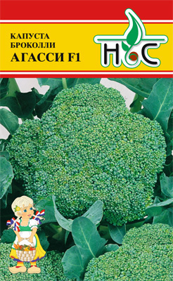 Капуста брокколи Агасси F1 00613