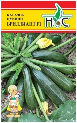 Кабачок цукини Бриллиант F1 00793