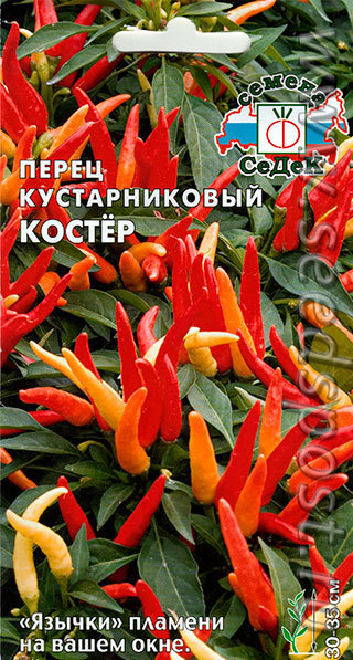 Перец острый кустарниковый Костер 00541