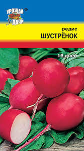 Редис Шустренок 01152