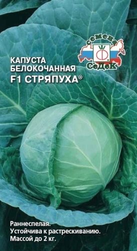 Капуста белокочанная Стряпуха F1 00738