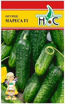 Огурец Мареса F1 00676