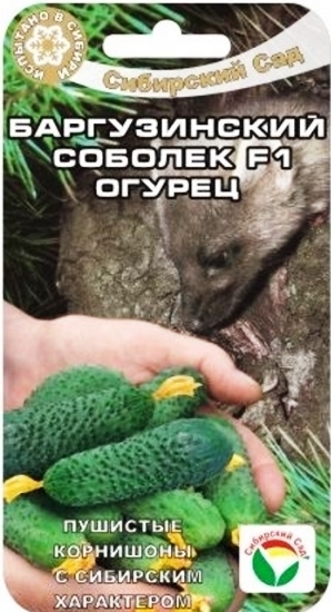 Огурец Баргузинский соболек F1 01192