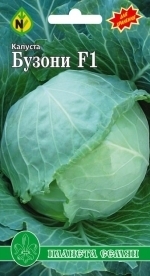 Капуста белокочанная Бузони F1 01274