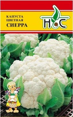 Капуста цветная Сиерра F1 01310