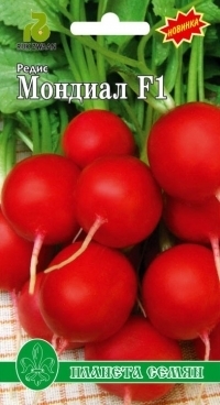 Редис Мондиал F1 01323
