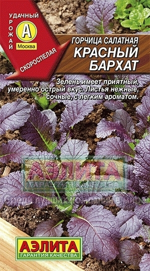 Горчица салатная Красный бархат 01348