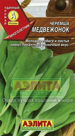 Черемша Медвежонок 01358