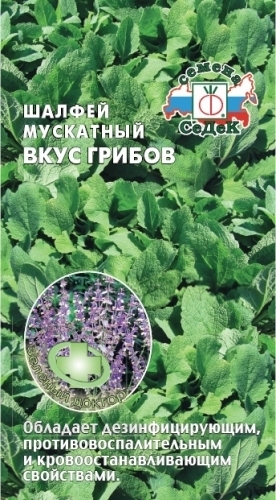 Шалфей мускатный Вкус грибов 01374