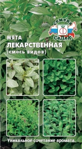 Мята лекарственная (смесь видов) 01377