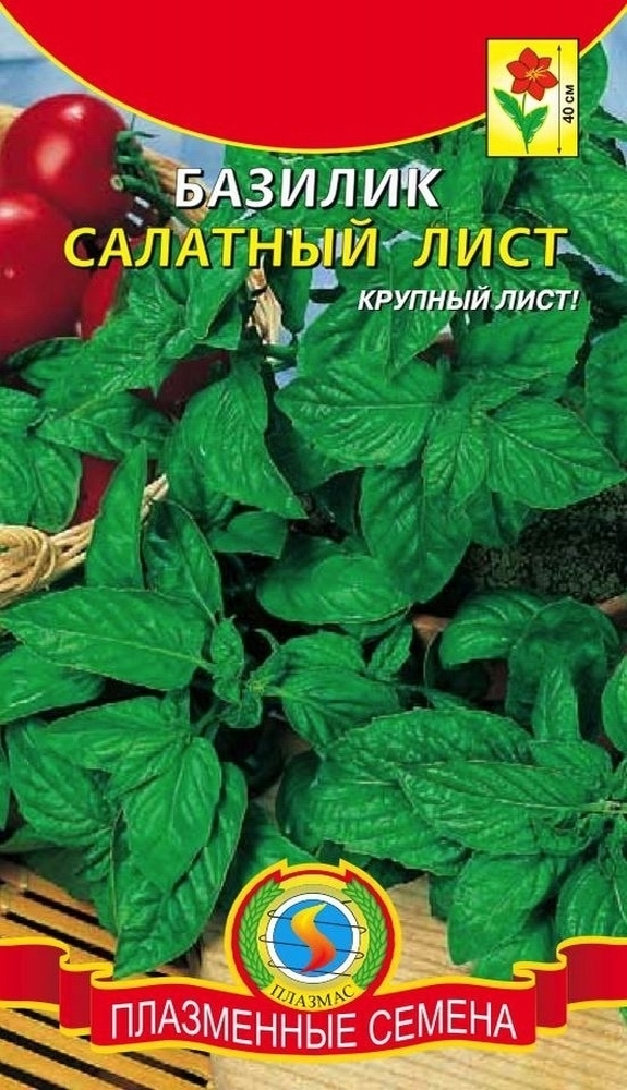 Базилик Салатный лист 01383