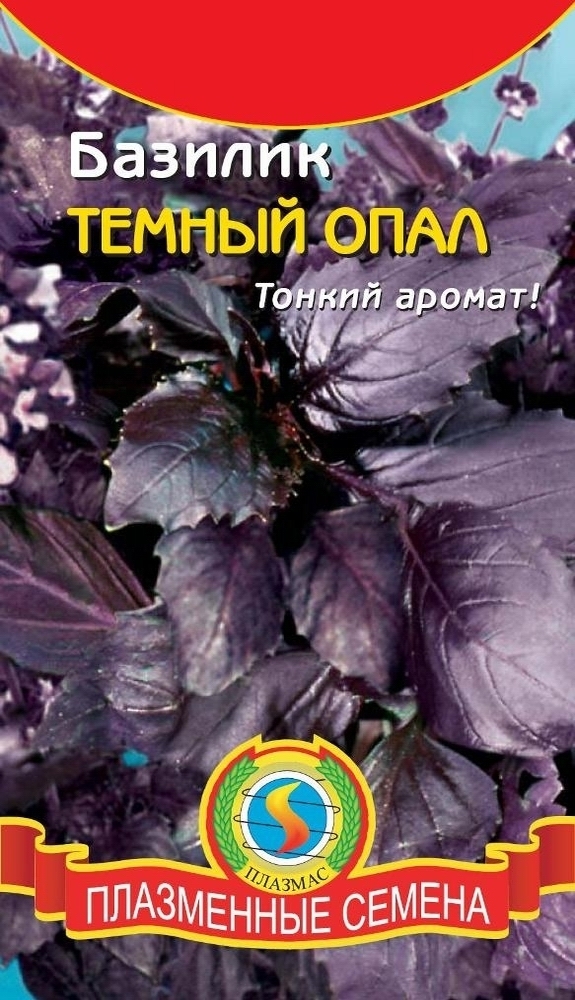 Базилик Темный опал 01384