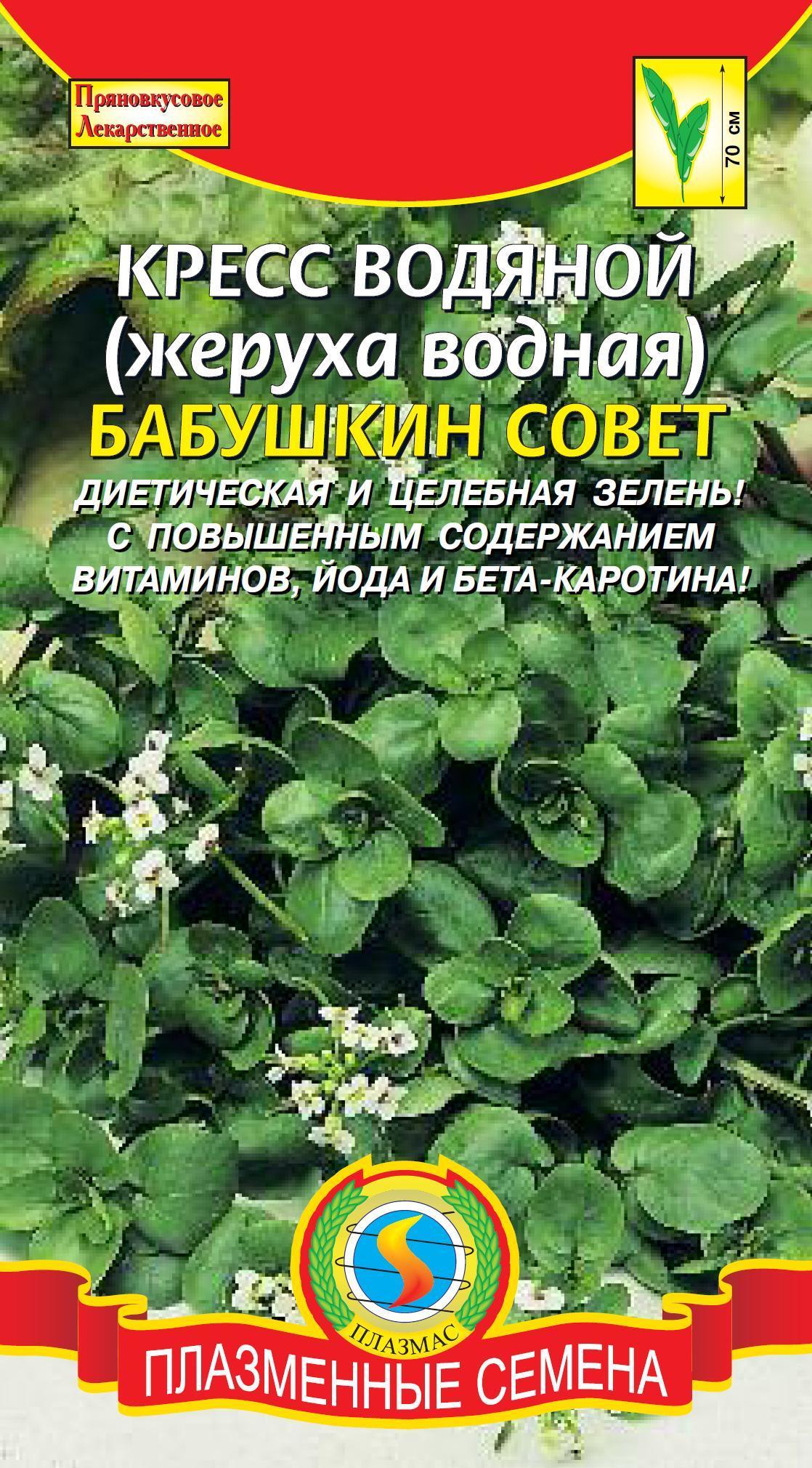 Кресс водяной (жеруха водяная) Бабушкин совет 01388