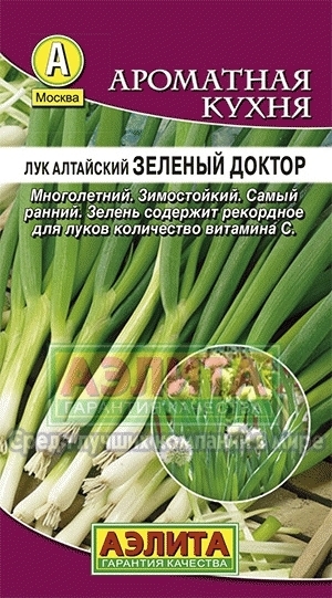 Лук алтайский Зеленый доктор 00212