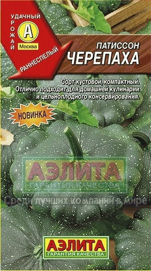 Патиссон Черепаха 01433