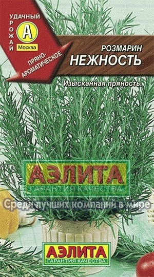 Розмарин Нежность 01385