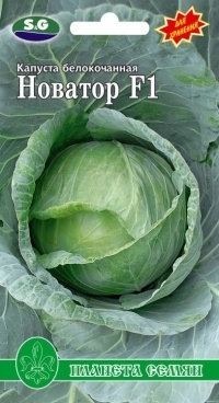 Капуста белокочанная Новатор F1 01279