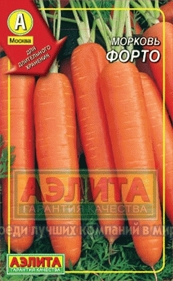 Морковь Форто 01456