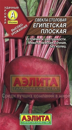 Свекла Египетская плоская 01478