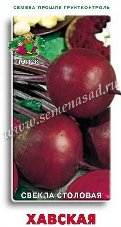Свекла Хавская 01480