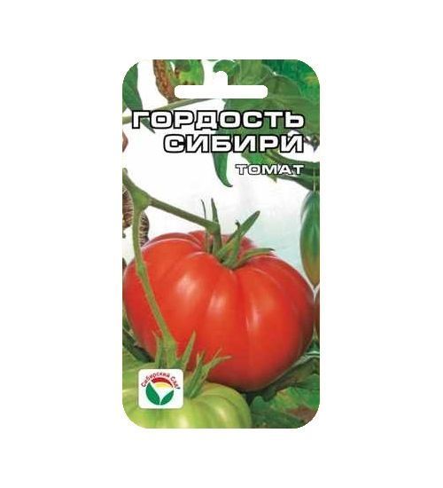 Томат Гордость Сибири 01495