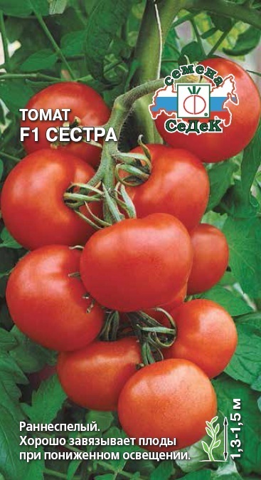 Томат Сестра F1 01611