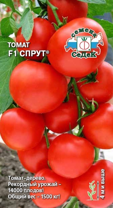 Томат Спрут F1 01626