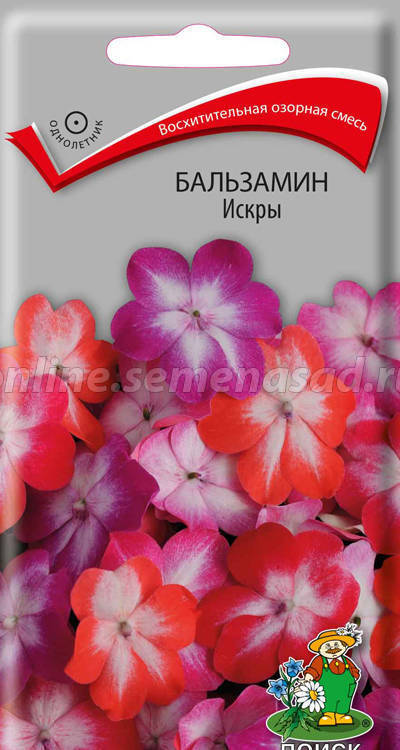 Бальзамин Искры 01662