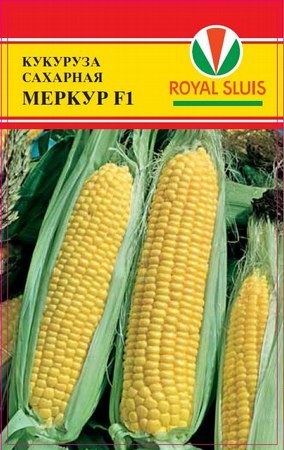 Кукуруза сахарная Меркур 01744