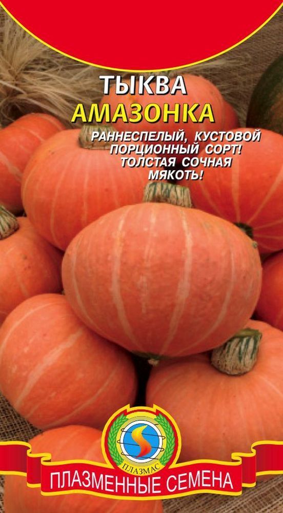 Тыква Амазонка 01773