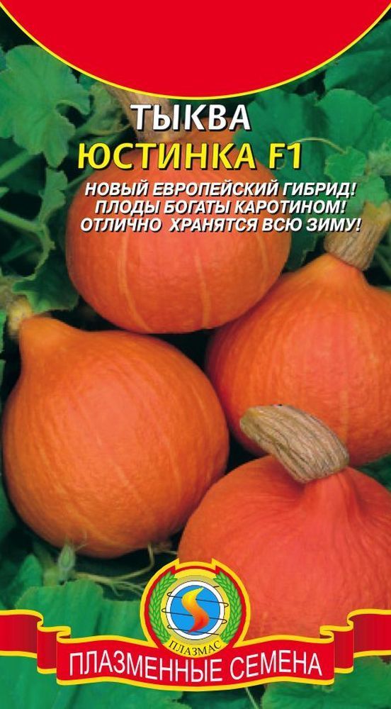 Тыква Юстинка F1 01776
