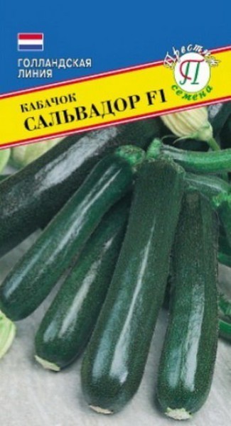 Кабачок Сальвадор F1 01805