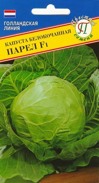 Капуста белокочанная Парел F1 00290