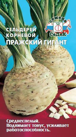 Сельдерей корневой Пражский гигант 01351