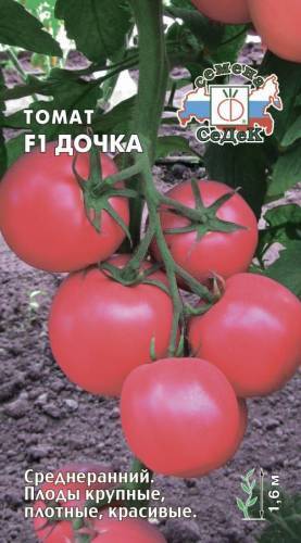 Томат Дочка F1 01879