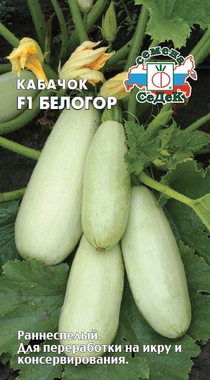 Кабачок Белогор F1 00525