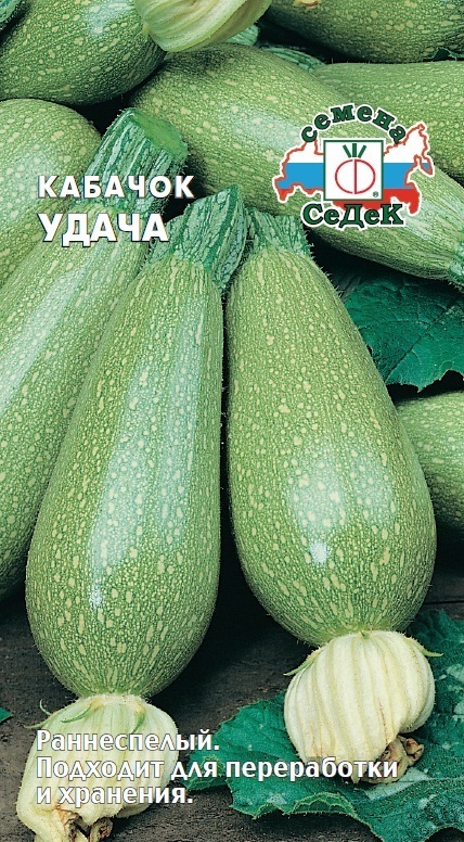 Кабачок Удача 01898