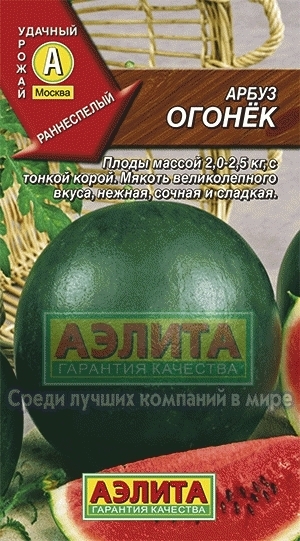 Арбуз Огонек 01160