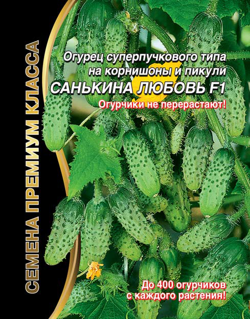 Огурец Санькина любовь F1 01952