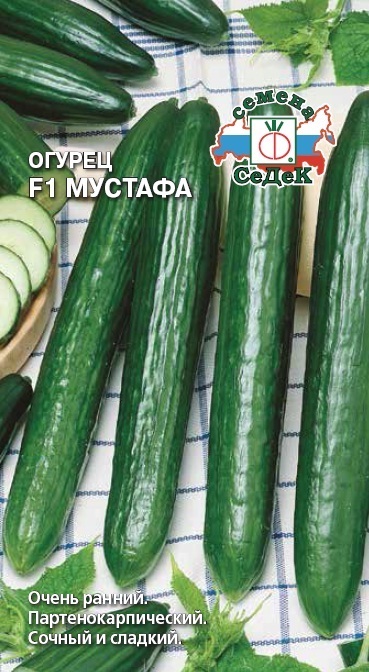 Огурец Мустафа F1 01259