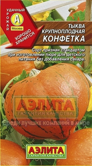 Тыква крупноплодная Конфетка 00713